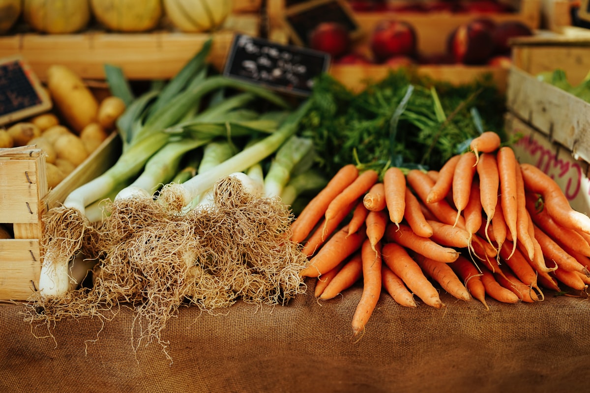 Gesunde Ernährung zum Abnehmen